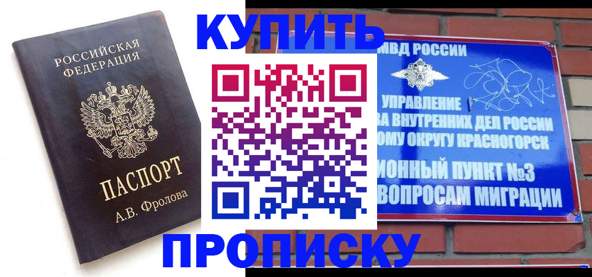 прописка поиск в Солнечногорске